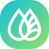小红免费短剧